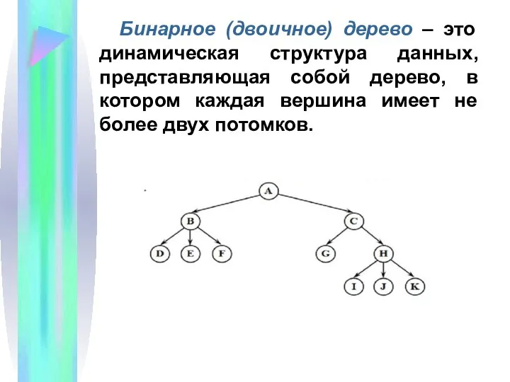 Бинарное (двоичное) дерево – это динамическая структура данных, представляющая собой дерево, в