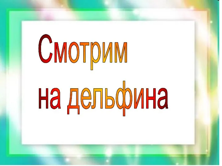 Смотрим на дельфина