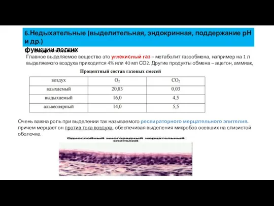 6.Недыхательные (выделительная, эндокринная, поддержание рН и др.) функции легких Выделительная. Главное выделяемое