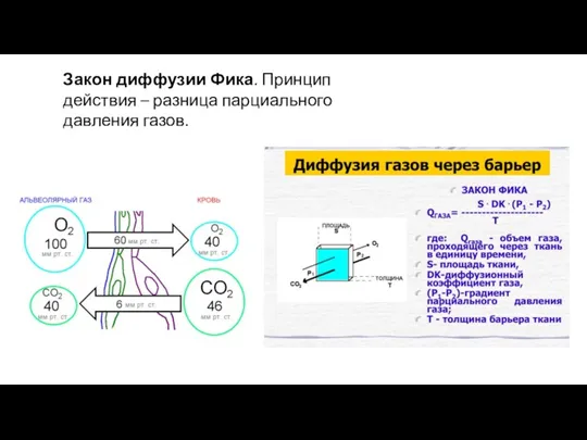 Закон диффузии Фика. Принцип действия – разница парциального давления газов.