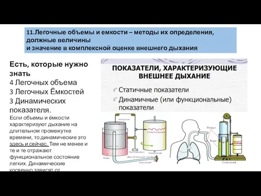 11.Легочные объемы и емкости – методы их определения, должные величины и значение