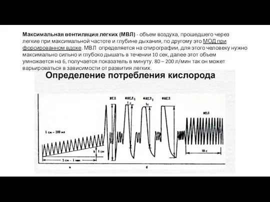 Максимальная вентиляция легких (МВЛ) - объем воздуха, прошедшего через легкие при максимальной