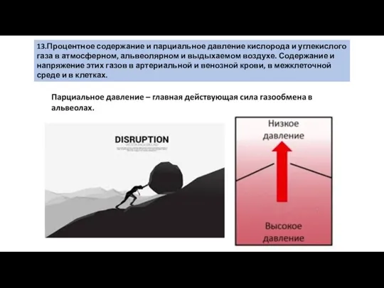 13.Процентное содержание и парциальное давление кислорода и углекислого газа в атмосферном, альвеолярном