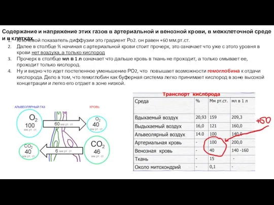 Содержание и напряжение этих газов в артериальной и венозной крови, в межклеточной