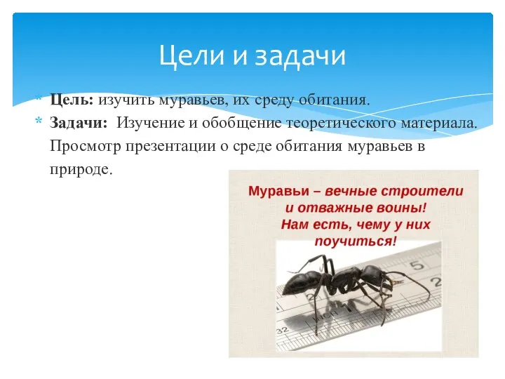 Цель: изучить муравьев, их среду обитания. Задачи: Изучение и обобщение теоретического материала.