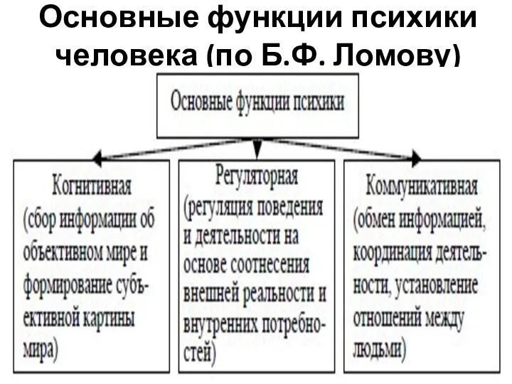 Основные функции психики человека (по Б.Ф. Ломову)