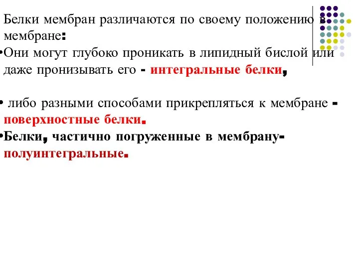 Белки мембран различаются по своему положению в мембране: Они могут глубоко проникать