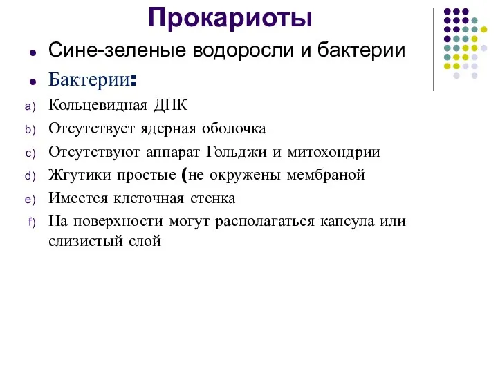 Прокариоты Сине-зеленые водоросли и бактерии Бактерии: Кольцевидная ДНК Отсутствует ядерная оболочка Отсутствуют