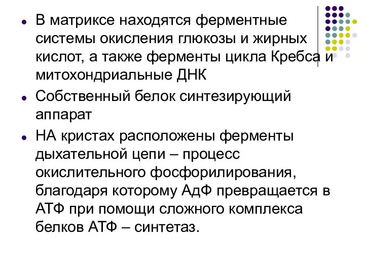 В матриксе находятся ферментные системы окисления глюкозы и жирных кислот, а также