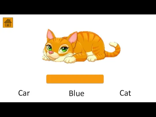 Blue Car Cat