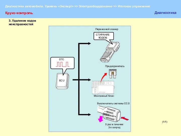 (1/1) Круиз-контроль Диагностика Переносной сканер СТИРАНИЕ КОДОВ DTC ECU Предохранитель Монтажный блок: