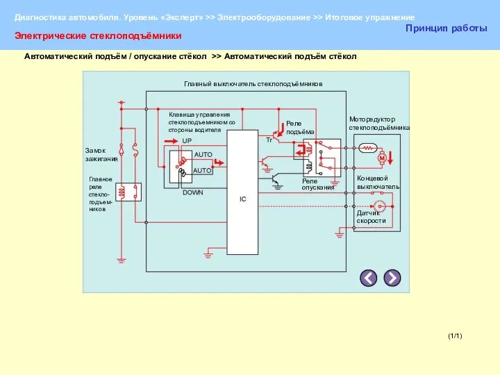 (1/1) Электрические стеклоподъёмники Принцип работы Главный выключатель стеклоподъёмников Замок зажигания Главное реле