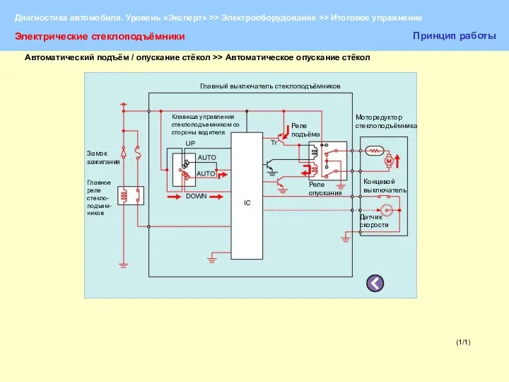 (1/1) Электрические стеклоподъёмники Принцип работы Главный выключатель стеклоподъёмников Замок зажигания Главное реле