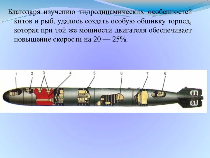 Благодаря изучению гидродинамических особенностей китов и рыб, удалось создать особую обшивку торпед,