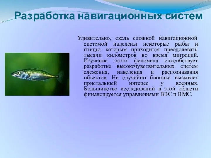 Разработка навигационных систем Удивительно, сколь сложной навигационной системой наделены некоторые рыбы и