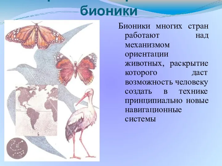 Бионики многих стран работают над механизмом ориентации животных, раскрытие которого даст возможность