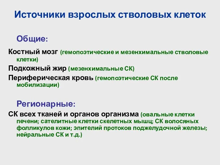 Источники взрослых стволовых клеток Общие: Костный мозг (гемопоэтические и мезенхимальные стволовые клетки)