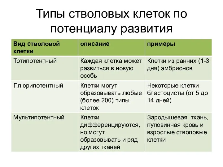 Типы стволовых клеток по потенциалу развития