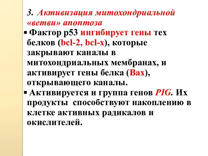 3. Активизация митохондриальной «ветви» апоптоза Фактор р53 ингибирует гены тех белков (bcl-2,