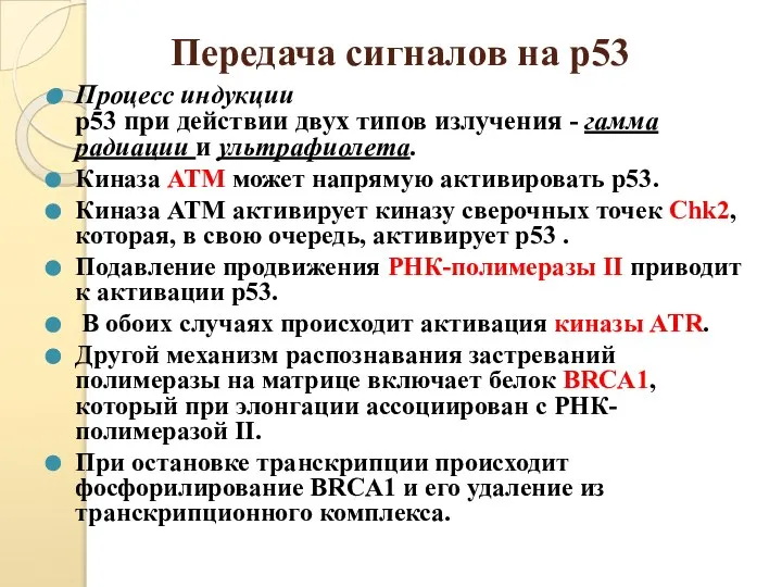 Передача сигналов на р53 Процесс индукции р53 при действии двух типов излучения