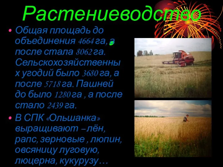 Растениеводство. Общая площадь до объединения 4664 га, а после стала 8062 га.