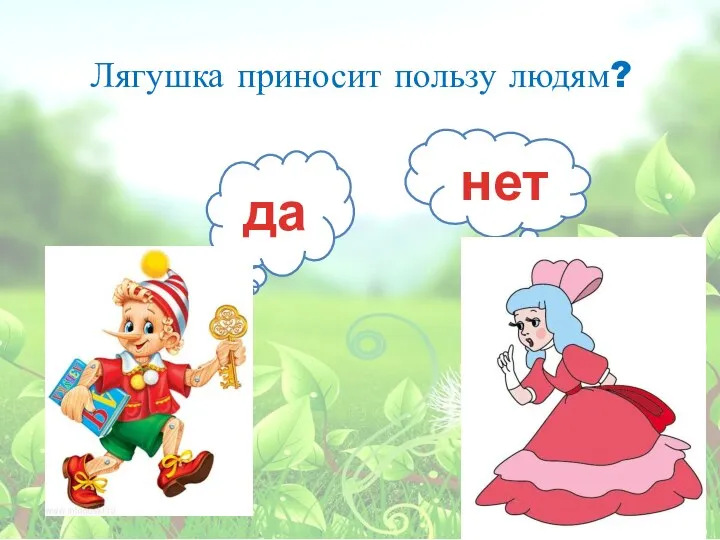 Лягушка приносит пользу людям? да нет