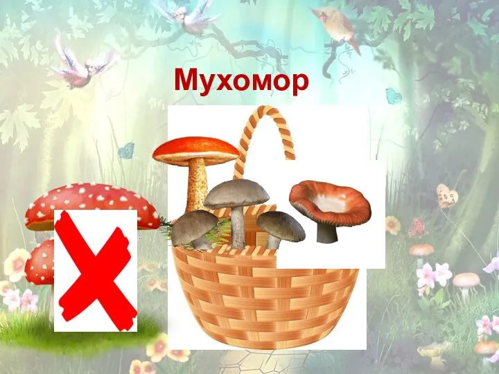 Мухомор