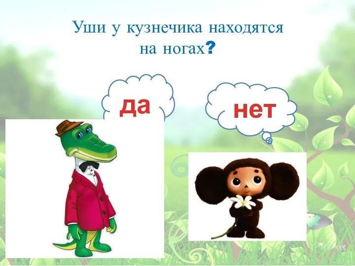 Уши у кузнечика находятся на ногах? да нет