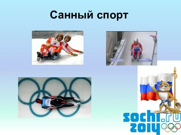 Санный спорт