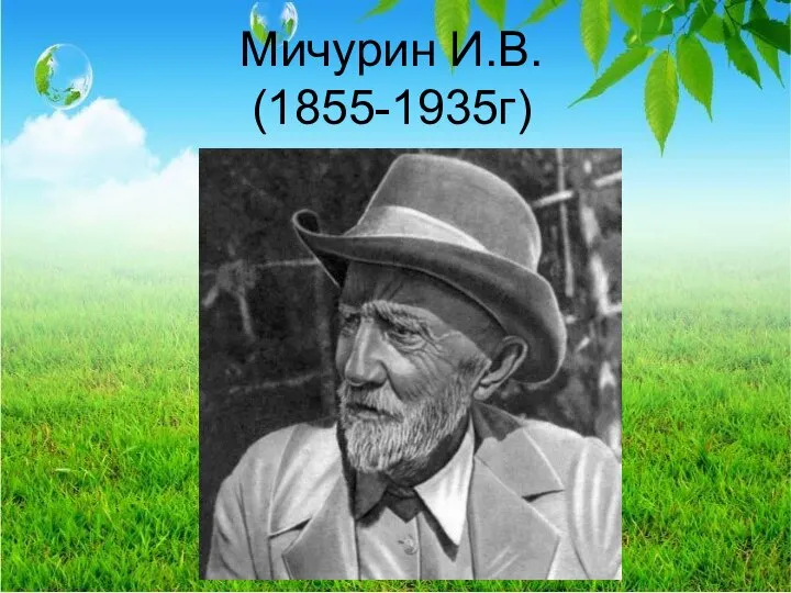 Мичурин И.В. (1855-1935г)