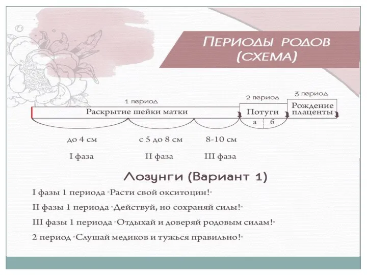 Выполняйте упражнения по 1 минуте ежедневно. В первую неделю тренировок один раз