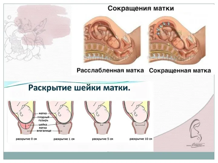 Выполняйте упражнения по 1 минуте ежедневно. В первую неделю тренировок один раз