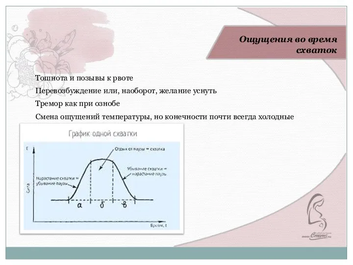 Выполняйте упражнения по 1 минуте ежедневно. В первую неделю тренировок один раз