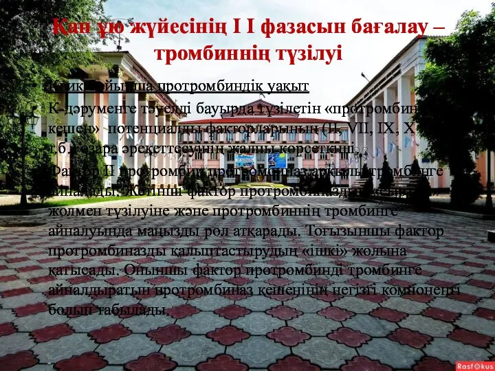 Қан ұю жүйесінің I I фазасын бағалау – тромбиннің түзілуі Квик бойынша