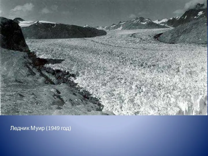 Ледник Муир (1949 год)