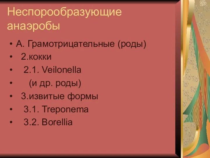 Неспорообразующие анаэробы А. Грамотрицательные (роды) 2.кокки 2.1. Veilonella (и др. роды) 3.извитые