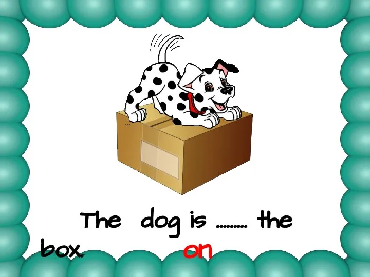 The dog is ……… the box. on