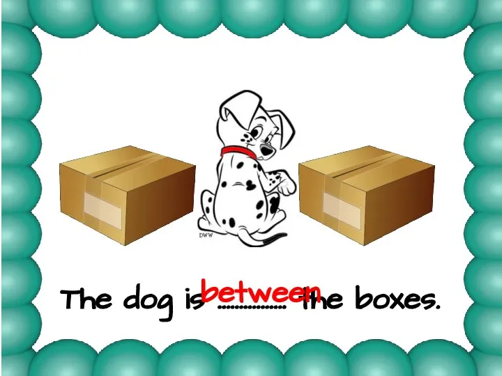 The dog is ……………. the boxes. between