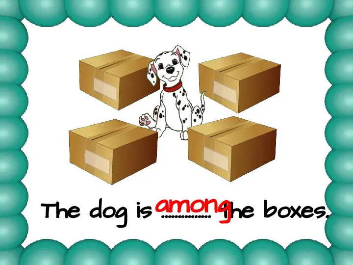 The dog is …………… the boxes. among