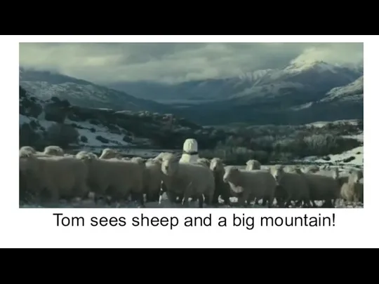 Tom sees sheep and a big mountain!