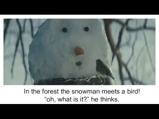 In the forest the snowman meets a bird! “oh, what is it?” he thinks.