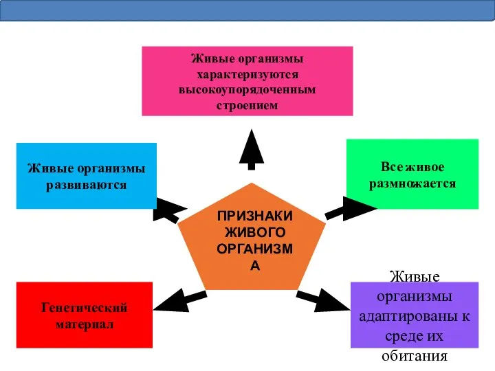 Живые организмы характеризуются высокоупорядоченным строением Живые организмы развиваются Все живое размножается ПРИЗНАКИ