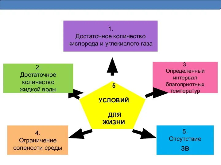 1. Достаточное количество кислорода и углекислого газа 2. Достаточное количество жидкой воды