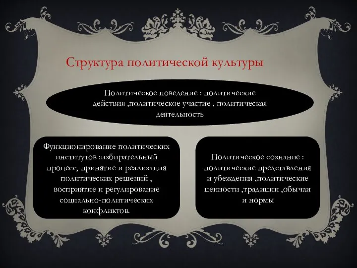 Функционирование политических институтов :избирательный процесс, принятие и реализация политических решений ,восприятие и