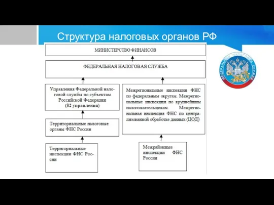 Структура налоговых органов РФ