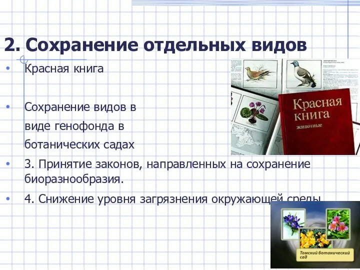 2. Сохранение отдельных видов Красная книга Сохранение видов в виде генофонда в