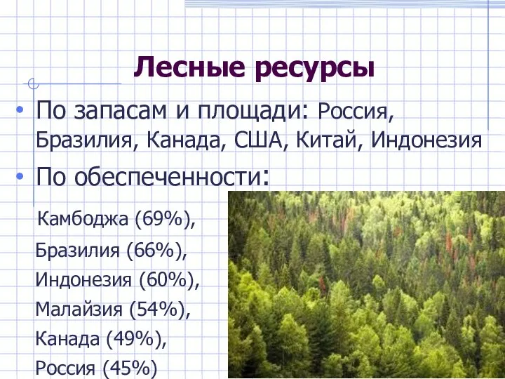 Лесные ресурсы По запасам и площади: Россия, Бразилия, Канада, США, Китай, Индонезия