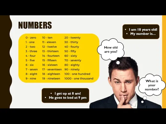 NUMBERS What is your number? How old are you? I am 18