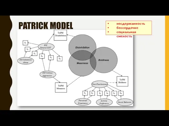 PATRICK MODEL несдержанность бессердечие социальная смелость