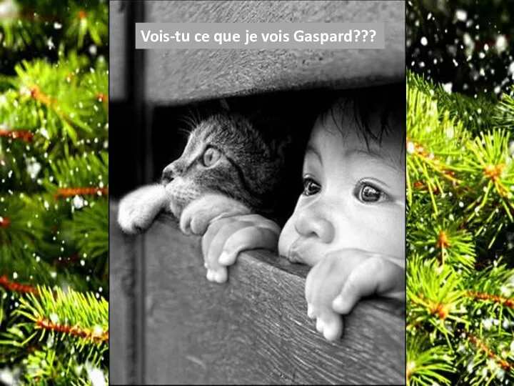 Vois-tu ce que je vois Gaspard???